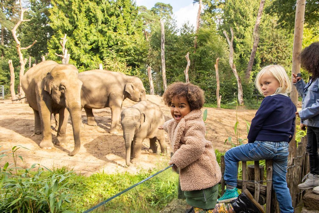 DierenPark Amersfoort